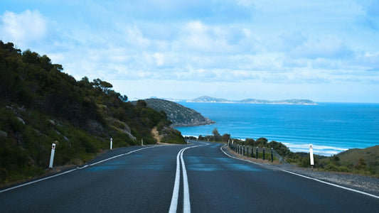 What Should You Do With an OBD GPS Tracker During Vehicle Servicing?